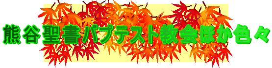 �F�J�����o�v�e�X�g����ق��F�X