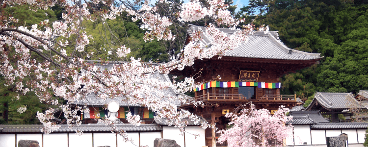 秩父華鬘寺