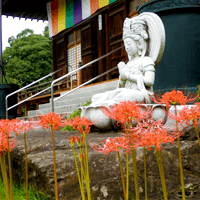 秩父華鬘寺