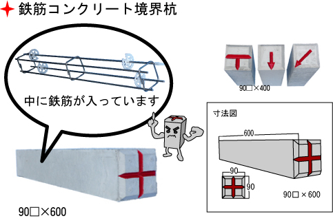 鉄筋コンクリート境界杭