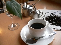 P1080060.JPG