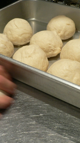 P1080054.JPG