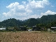 画像Ipon 227.jpg