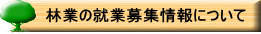 �@�ыƂ̏A�ƕ�W���ɂ��� 