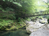 大血川観光釣り場